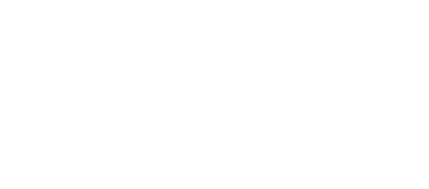 WOLTE14 Logo